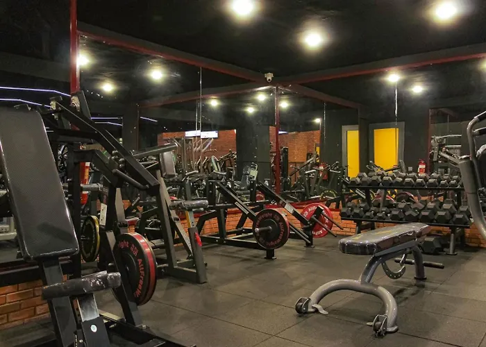 The Cosy Duplex With Gym Access & Near Mall, Palooza
